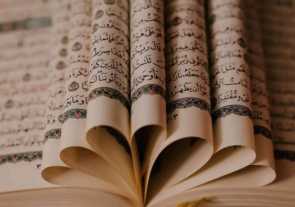 Quran reading